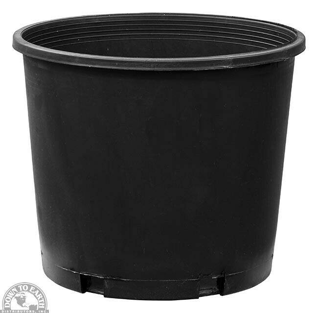 DTE Nursery Pot Poly 3GAL 07398
