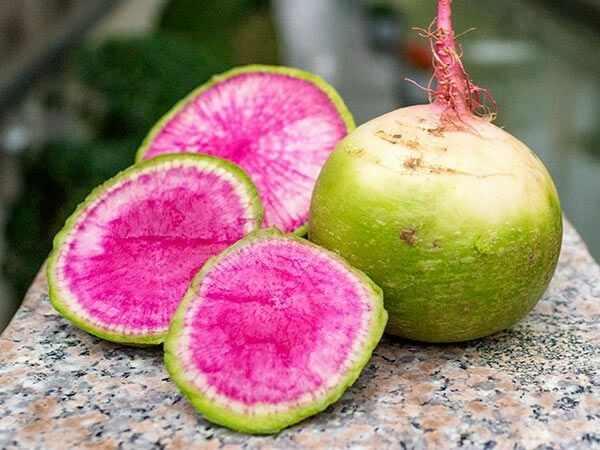 Baker Creek Radish Chinese Red Meat RD114