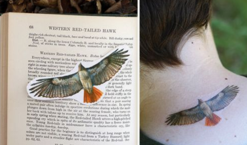 CBS Red-Tailed Hawk Tattoo (#T20100)