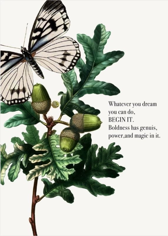 PFD Whatever You Dream You Can Do 5x7 Card C-WYD