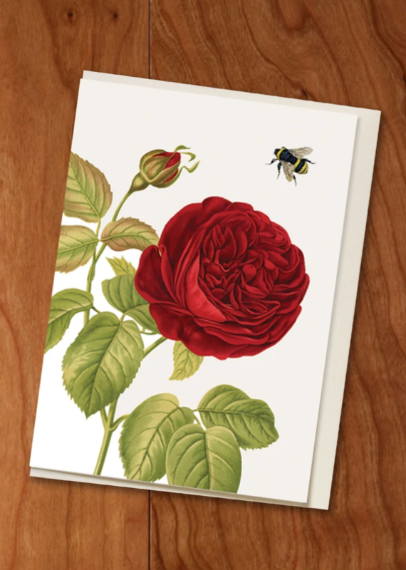 PFD Red Rose Mini Card MI-RRO
