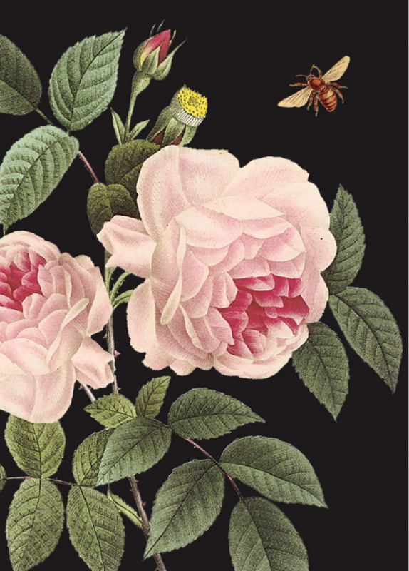 PFD Pink Roses on Black Mini Card MI-PRO