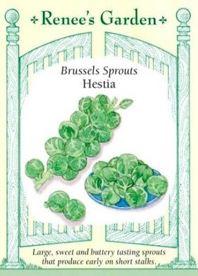 Renee's Brussels Sprouts Hestia 5974