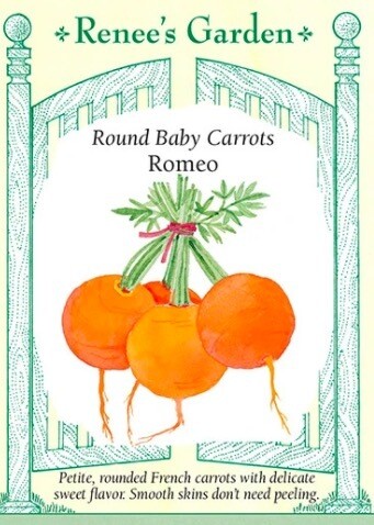 Renee's Carrot Round Romeo 5238