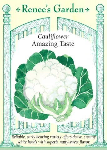 Renee's Cauliflower Amazing Taste 5876 (2024)