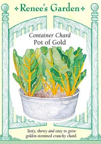 Renee's Chard Pot of Gold 5345