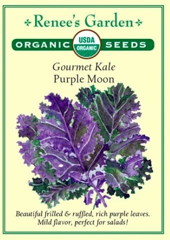 Renee's Kale Purple Moon Org 3992