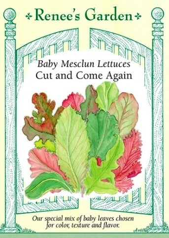 Renee's Lettuce Cut & Come Again Baby Mesclun 5650