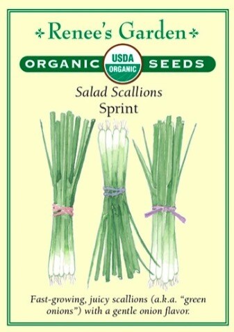 Renee's Onion Scallions Sprint Org 3003