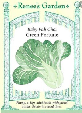 Renee's Pak Choi Green Fortune Baby 5607