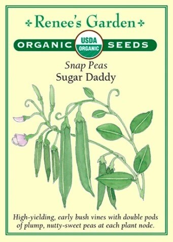 Renee's Pea Snap Sugar Daddy Org 3040