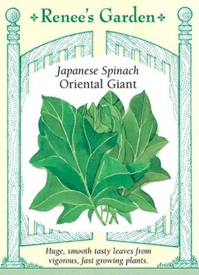 Renee's Spinach Oriental Giant 5327