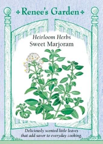 Renee's Marjoram Sweet 5285