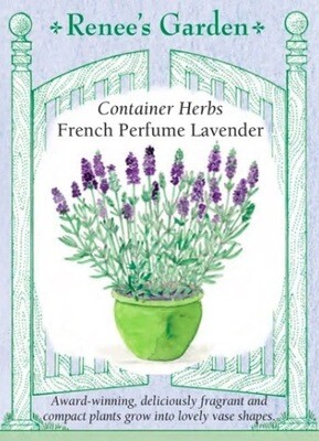 Renee's Lavender French Perfume Container 5832