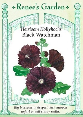 Renee's Hollyhock Black Watchman 5191