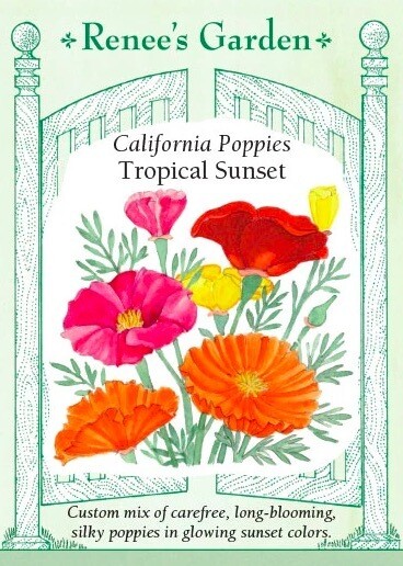 Renee's Poppy California Tropical Sunset 5363