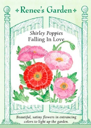 Renee's Poppy Shirley Falling In Love 5922