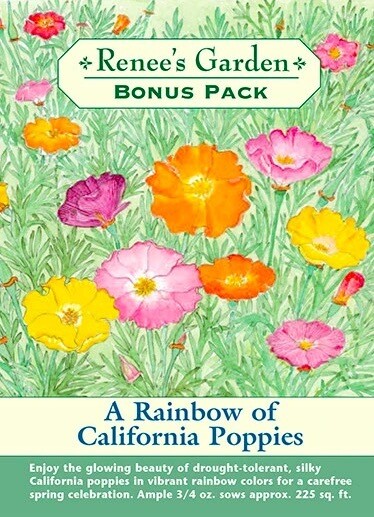 Renee's Bonus Pack Rainbow of California Poppies 8173