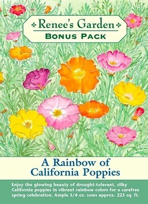 Renee's Bonus Pack Rainbow of California Poppies 8173