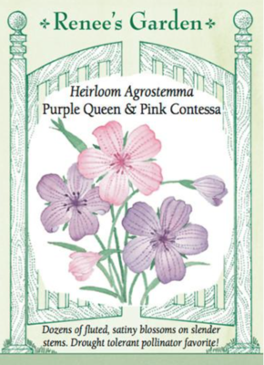 Renee's Agrostemma Pink & Purple 5179
