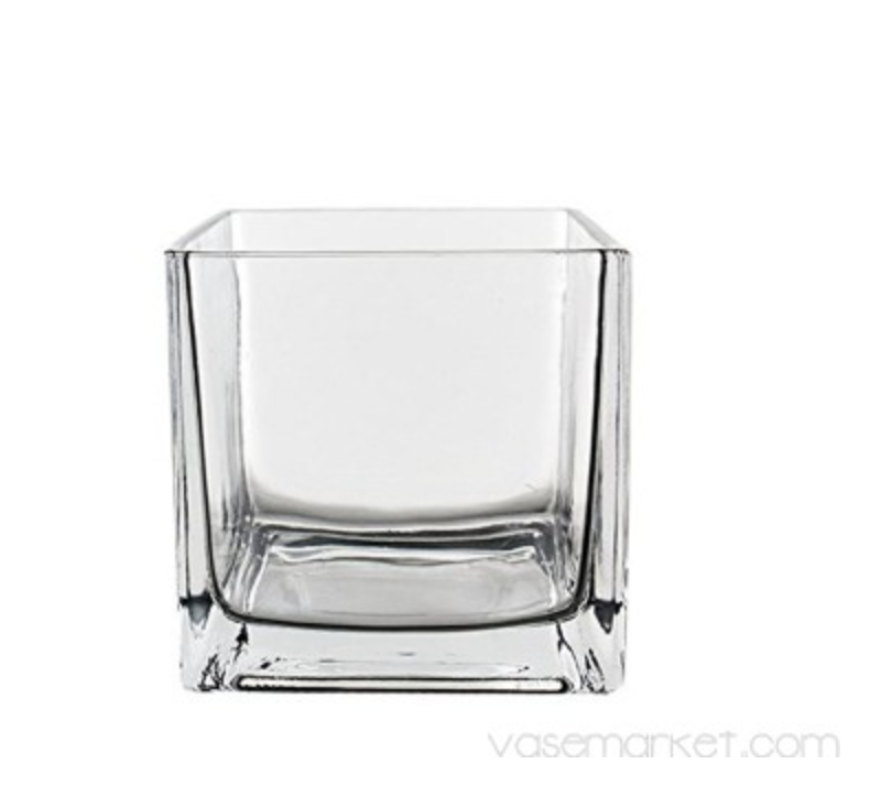 VM Glass Cube Vase H-4.75" GCB003