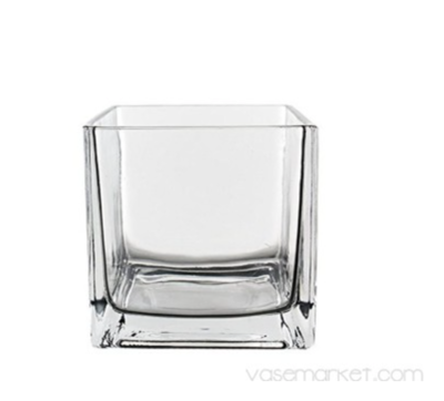 VM Glass Cube Vase H-4.75