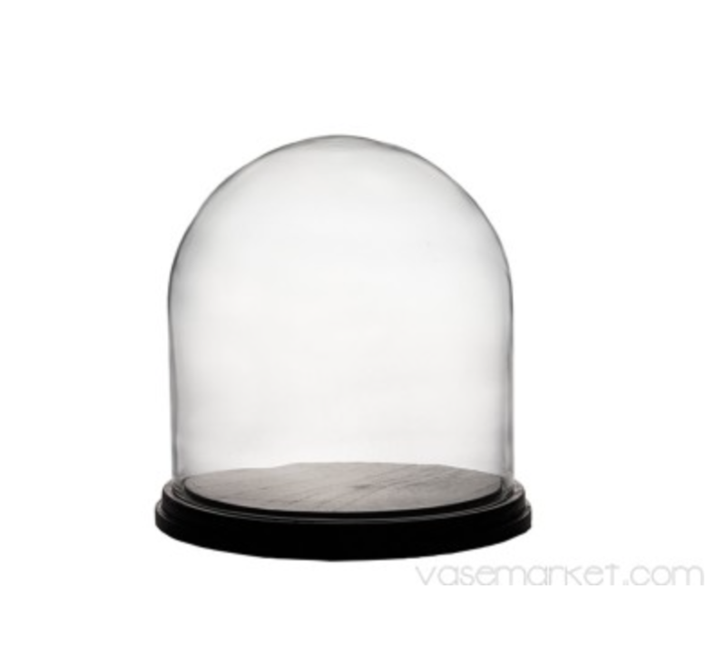 VM Glass Dome Bell Jar Terrarium with Base H-6.5" GDO110/06WB