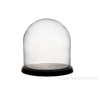 VM Glass Dome Bell Jar Terrarium with Base H-6.5