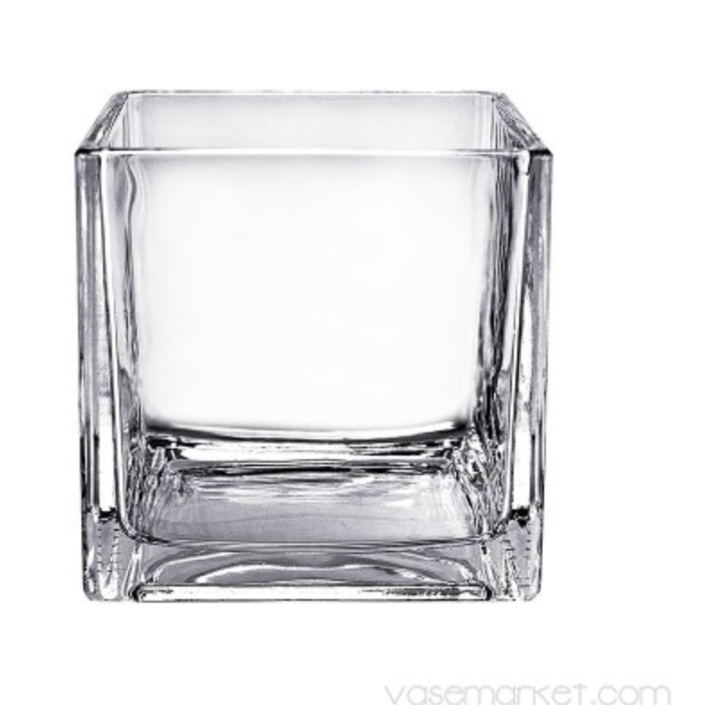 VM Glass Cube Vase H-6" GCB041