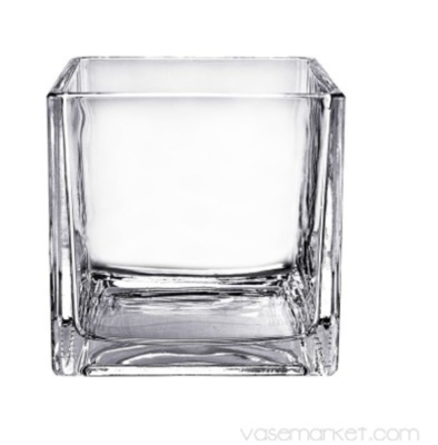 VM Glass Cube Vase H-6