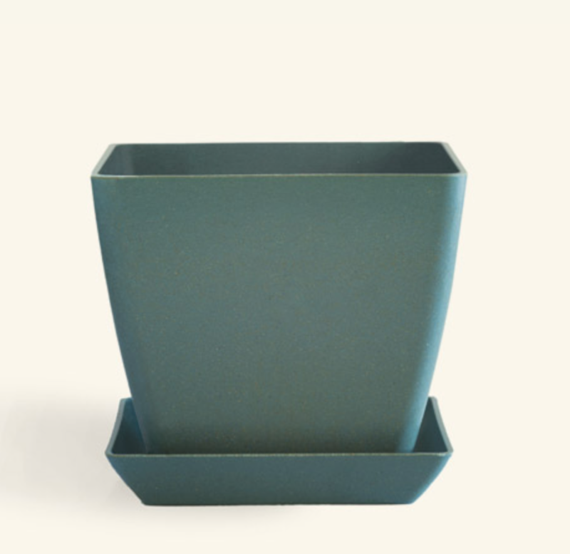 Ecoforms Quadra 6 Avocado (QP6)