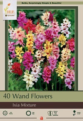 NBC Ixia Hybrid Mixture