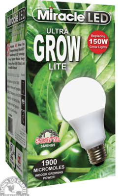 DTE LED Bulb Daylight White 150W (60538)