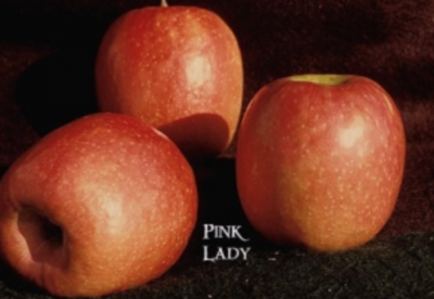DWN Apple Pink Lady 1/2