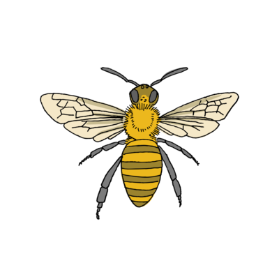 Tattly Honey Bee Tattoo 0568