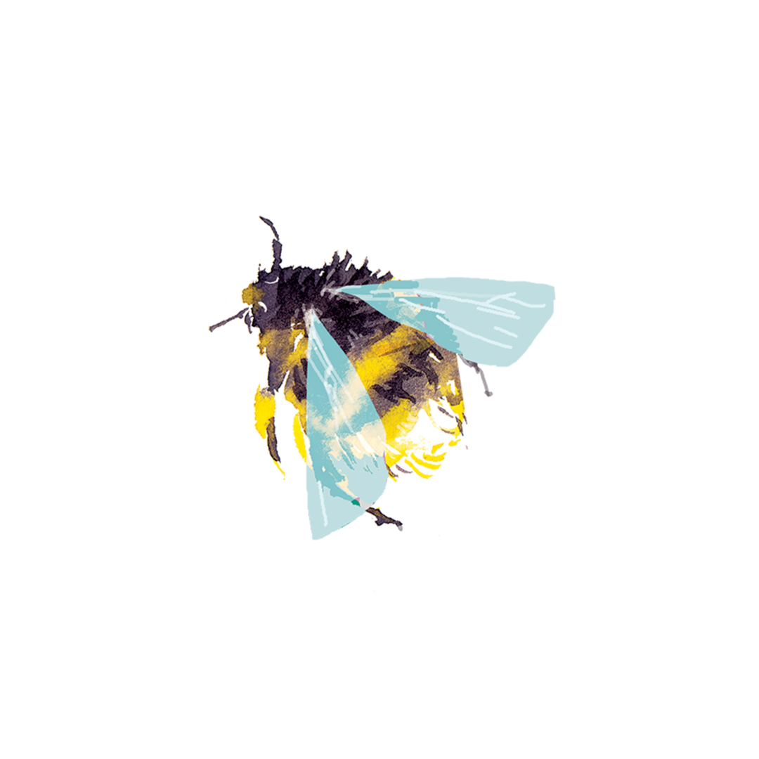 Tattly Bumblebee Tattoo 0917 – Store – The Plant Foundry
