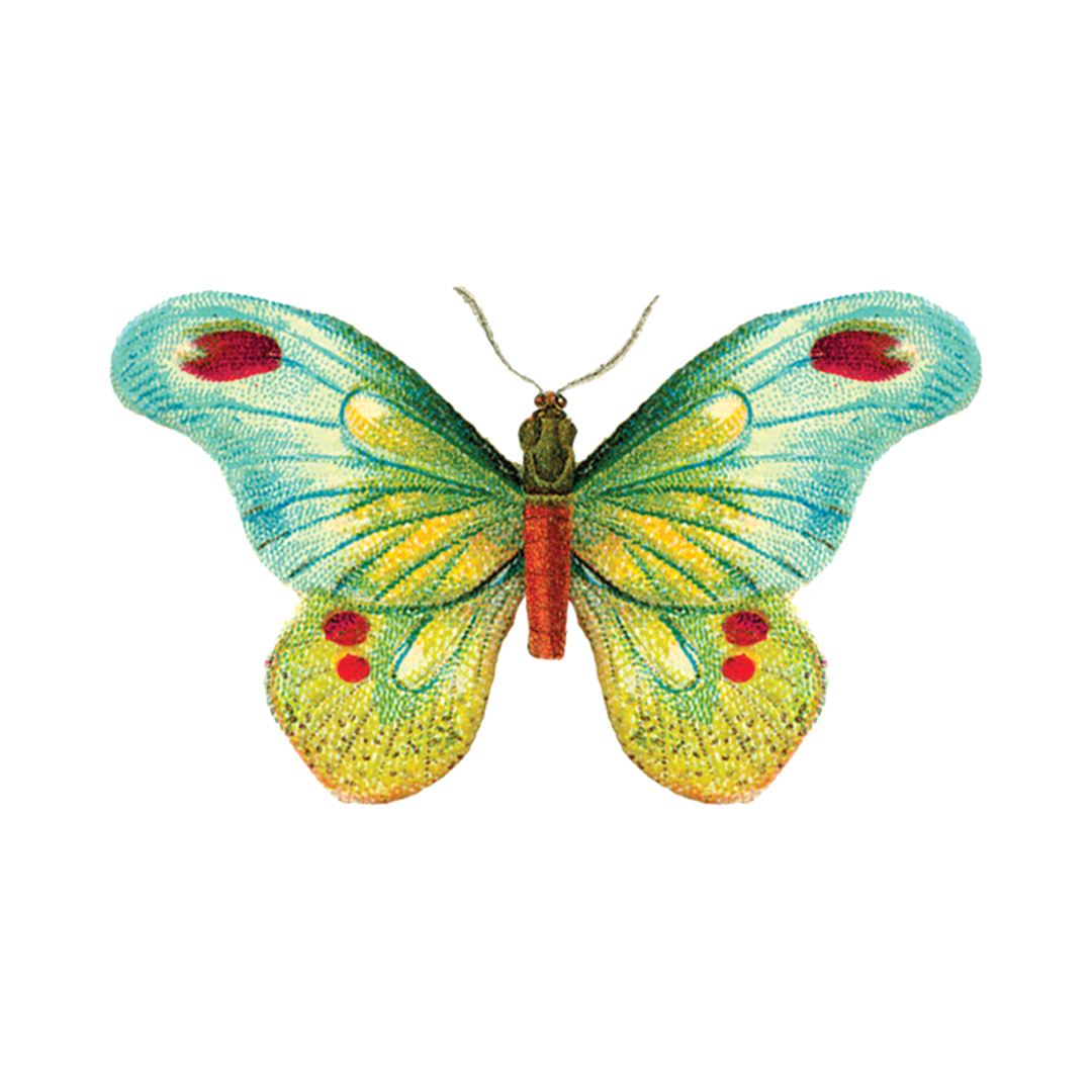Tattly Butterfly 1 Tattoo 0199