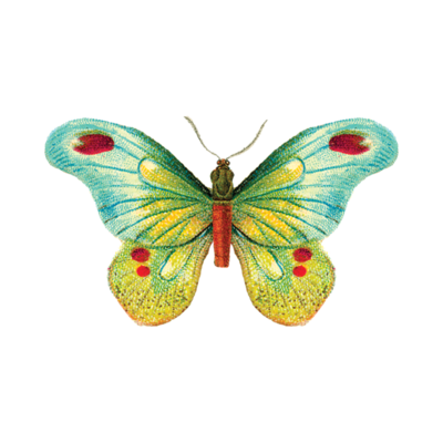 Tattly Butterfly 1 Tattoo 0199