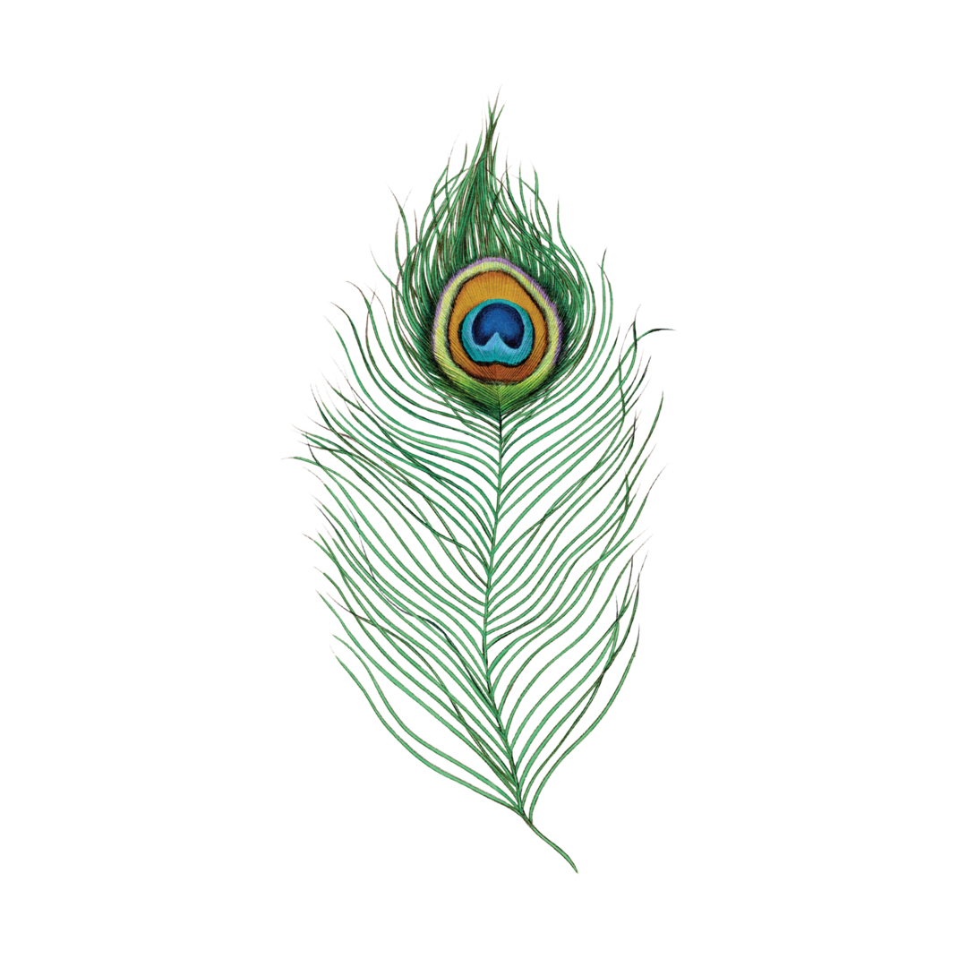 Tattly Peacock Feather 0834