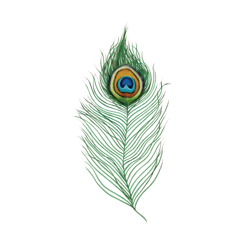 Tattly Peacock Feather 0834