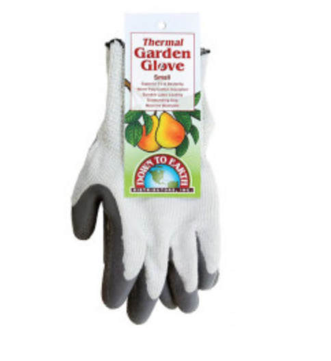 DTE Atlas Therma Fit Glove Small (04796)