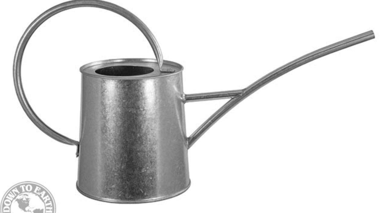 DTE Galvanized Watering Can 1.5L (29066)