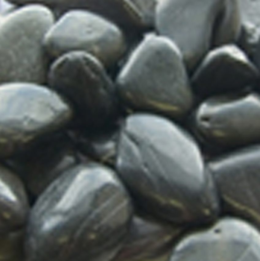 Central Panacea Polished River Rock Black