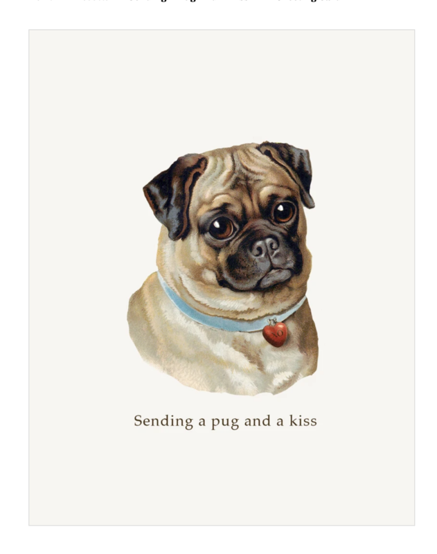 PFD Sending A Pug A2 Card CA2-SAP