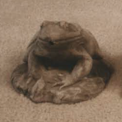 Art Craft Frog - PO (3149)