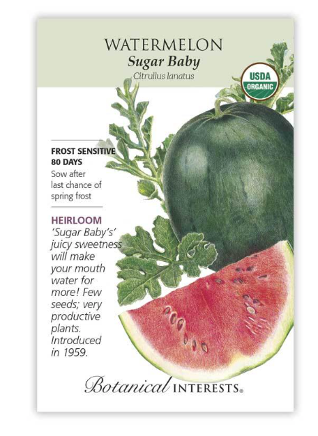 BI Watermelon Sugar Baby Org 3131