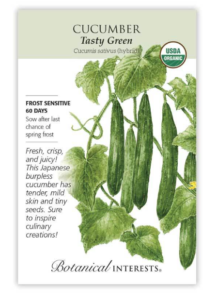 BI Cucumber Japanese Tasty Green Org 3062