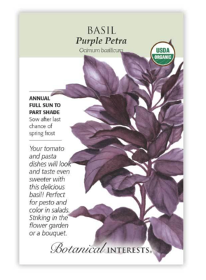 BI Basil Purple Petra Org 6093