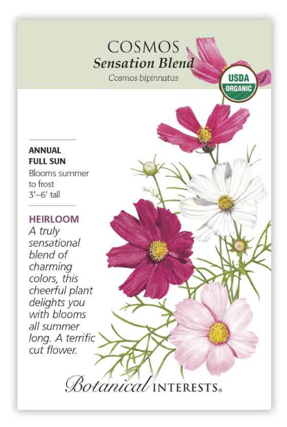 BI Cosmos Sensation Blend Org 2035