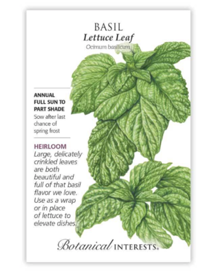 BI Basil Lettuce Leaf 5019